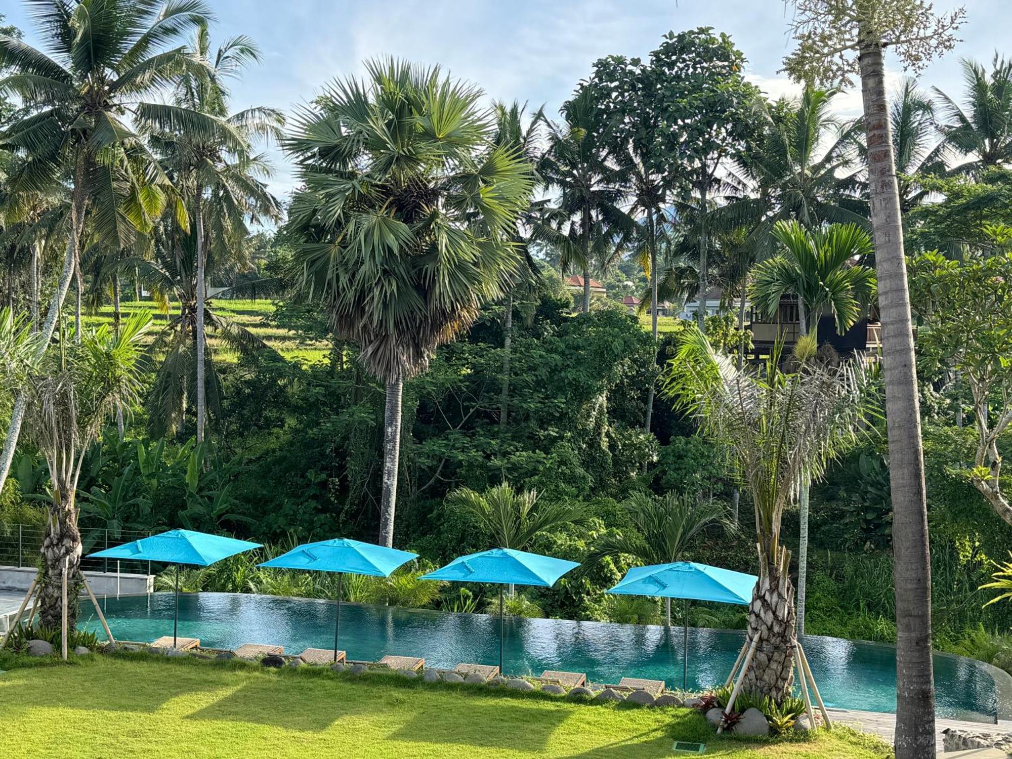 Rudra Sahashrara Bali - Ayurvedic - Health And Wellness Ubud